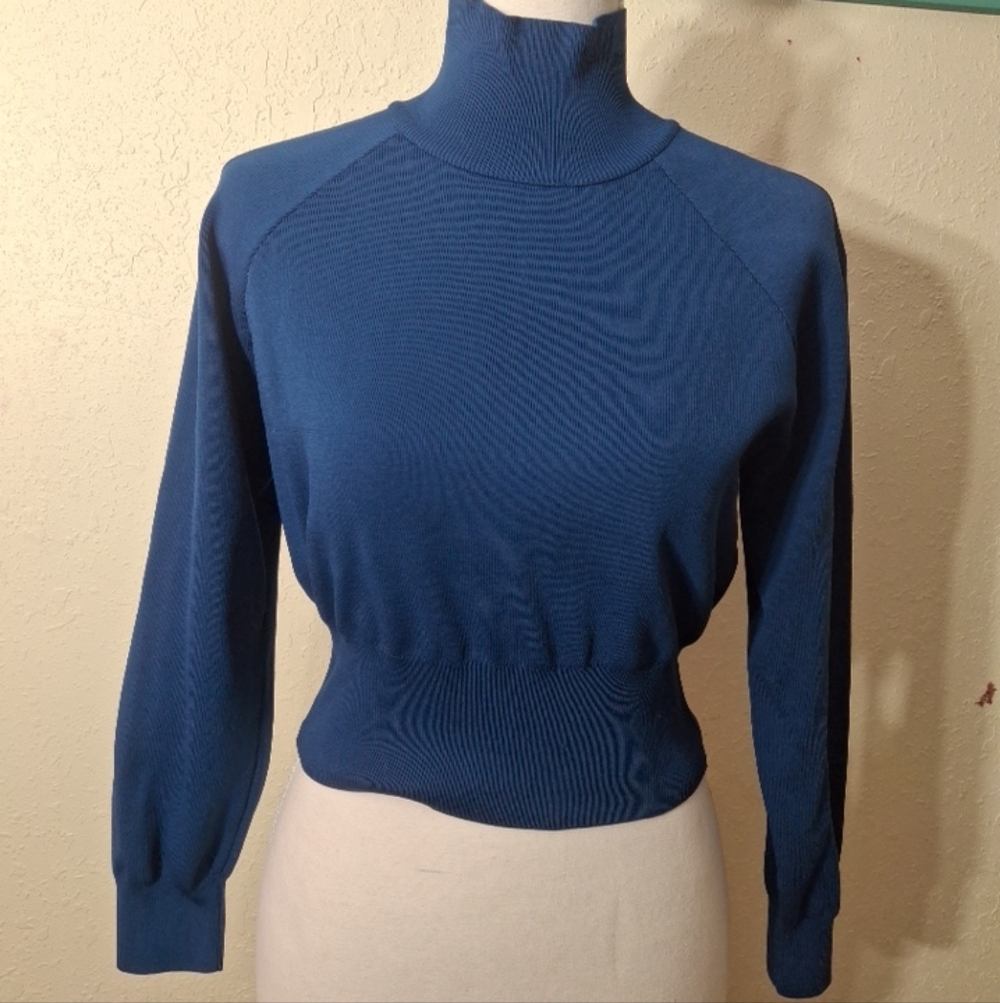 Zara Deep Blue Turtleneck Sweater